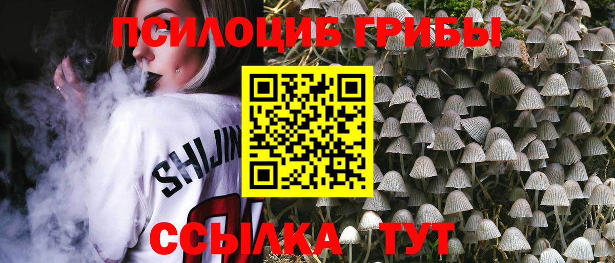 Камышлов  Псилоцибиновые грибы Cubensis  Вход с VPN  Галлюциногенные грибы MAGIC MUSHROOMS 