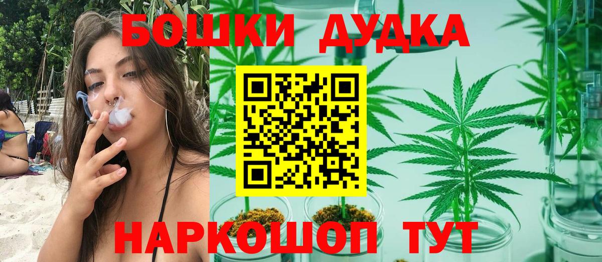 Конопля Bruce Banner Камышлов